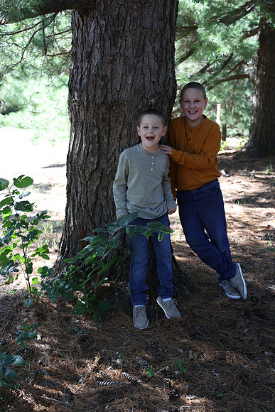 2D2A1490